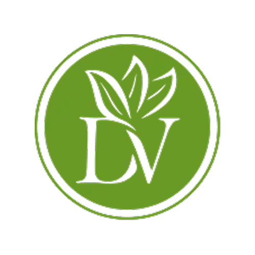 Logo David Vanille