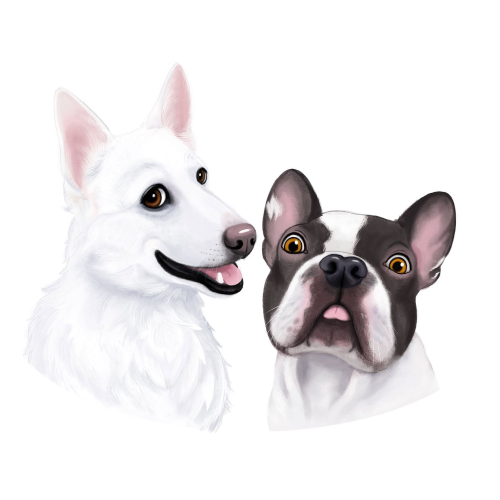 Logo Dexter & Mango