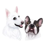 Logo Dexter & Mango