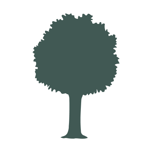 Logo Faguo
