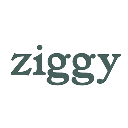 Logo Ziggy