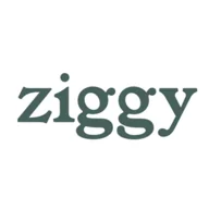 Logo Ziggy